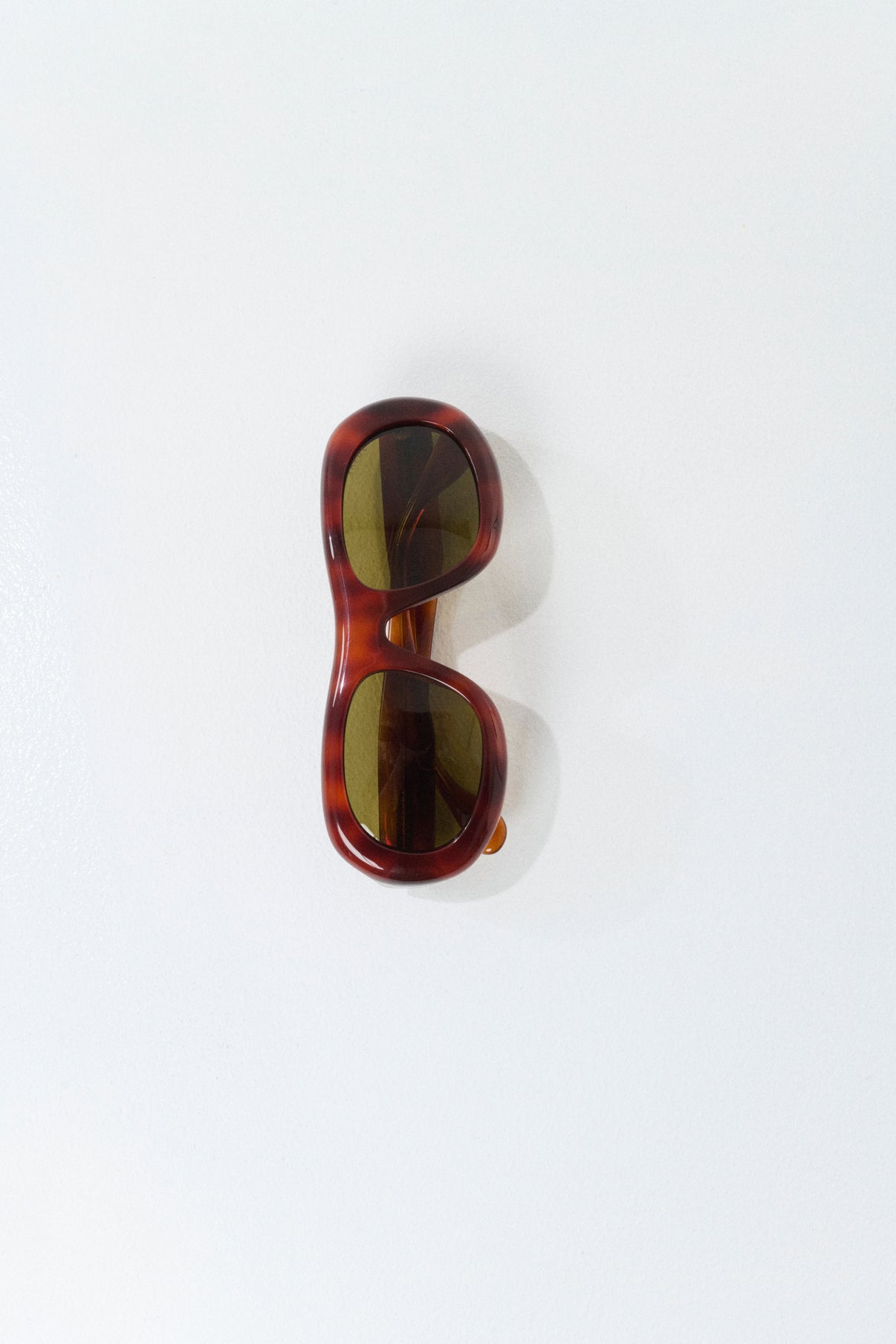 Lunettes de soleil Lee - Écaille - Femme vue 5